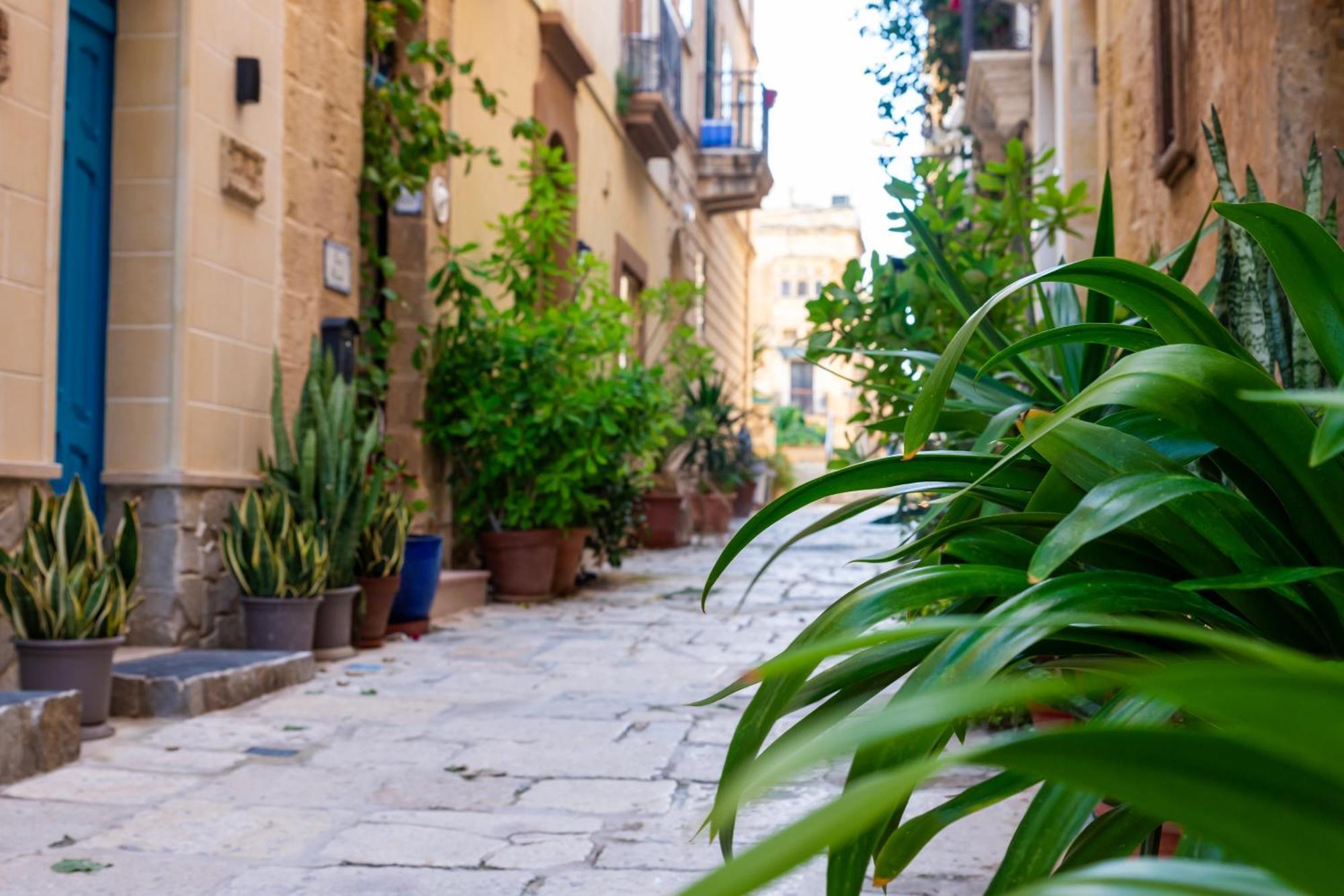 Great Siege Apartment Senglea Exteriör bild
